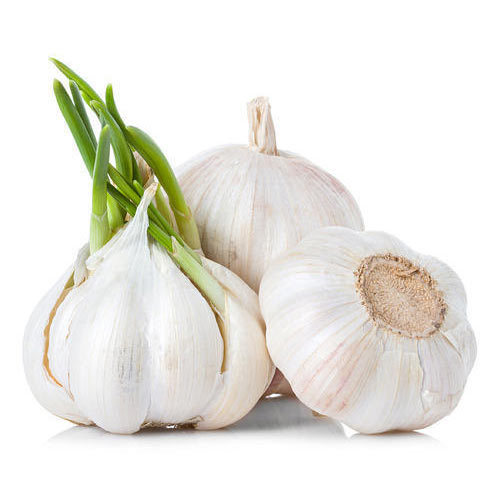Indore Garlic Manufacturers in Mandsaur Indore Garlic Manufacturers in Mandsaur